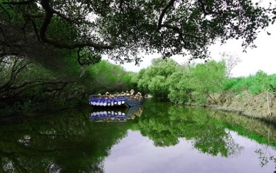 「台江生態文化園區」Blog遊記的精采圖片