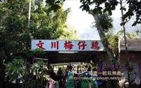 「梅嶺文川梅仔雞」