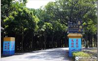「烏樹林休閒園區」