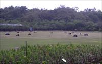 「南元花園休閒農場」