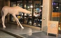 「Eating Time 義燉糖」
