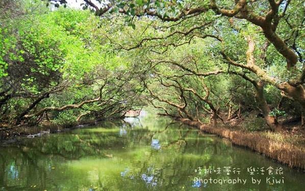 「台江生態文化園區」Blog遊記的精采圖片