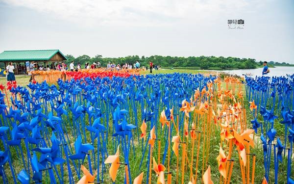 台南景點「德元埤荷蘭村」Blog遊記的精采圖片