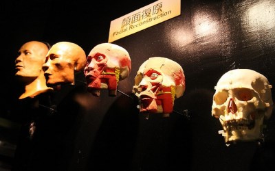 「樹谷生活科學館」Blog遊記的精采圖片