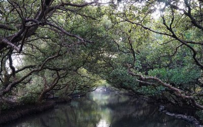 「台江生態文化園區」Blog遊記的精采圖片