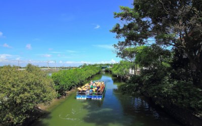 「台江生態文化園區」Blog遊記的精采圖片