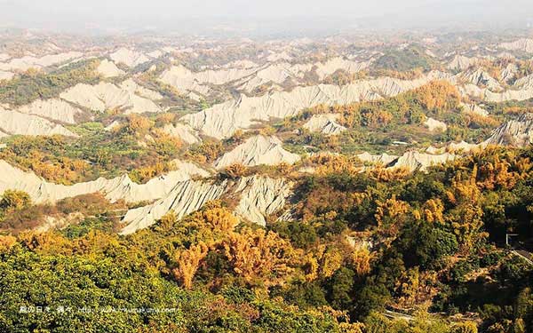「草山月世界」Blog遊記的精采圖片