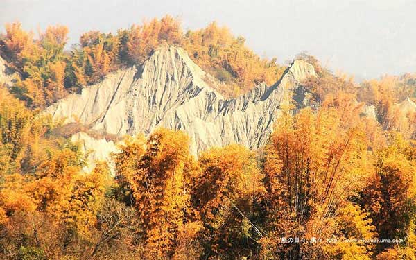 「草山月世界」Blog遊記的精采圖片