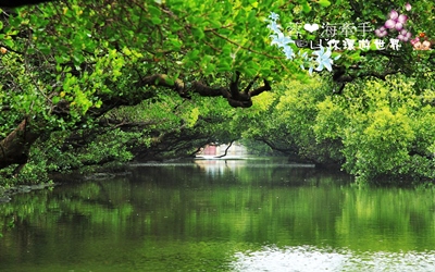 台南景點「台江生態文化園區」Blog遊記的精采圖片