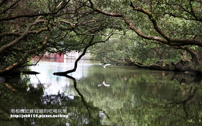 台南景點「台江生態文化園區」Blog遊記的精采圖片