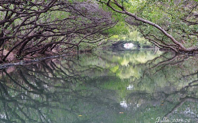 「台江生態文化園區」Blog遊記的精采圖片